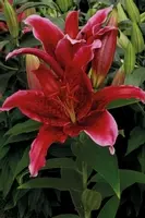 product|2983&sz200x200&cp&tn&